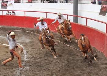 Arriba de excelencia los Regionales de Texcoco