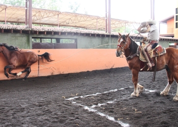 Buena actuación de Hacienda de Guadalupe «B»