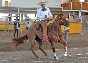 Emocionante el Caladero AQHA-Excelencia