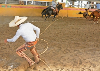 Magnífica actuación de Hacienda de Triana en feria de manganas a pie