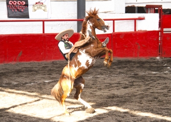 Preparado Rancho Arroyo Negro para la cuarta fase eliminatoria