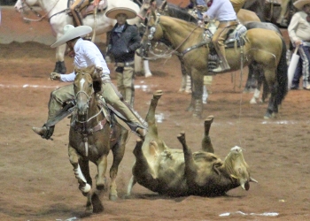 Álvaro León gana el Coleadero Abierto y Miguel Ortega el Pialadero Abierto