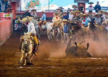 Convocatorias del Coleadero y Pialadero de Excelencia Charra 2018