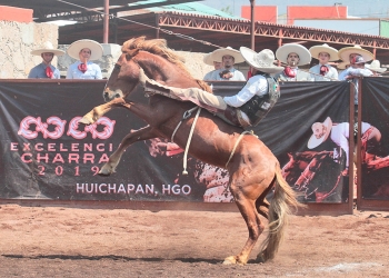 Clasificación al momento