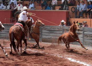 Ariel Cabañas se convirtió en el primer manganeador en acertar sus tres oportunidad en el Circuito Excelencia Charra 2019