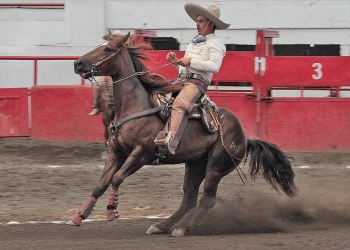 Juan Villaseñor de Tres Regalos "B" pegó la mejor cala de caballo al momento con 47 puntos