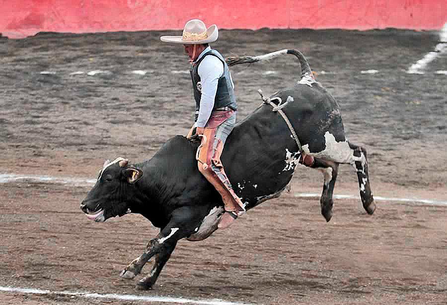 Al rojo vivo la clasificación general del Circuito Excelencia Charra 2019