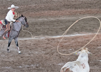 Ariel Cabañas lució con este larguísimo lazo cabecero durante la terna de Tres Regalos "A"
