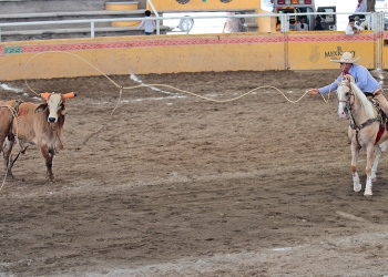 Diego Muñoz destacó con este larguísimo lazo de cabeza durante la terna en el ruedo de Tres Ases "Villa Oro"