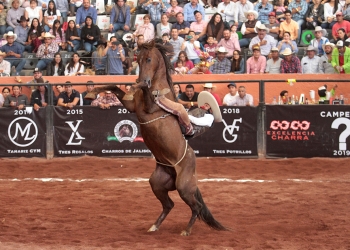 Pedro Cordero de Tres Regalos "A" lució esta fabulosa jineteada de yegua
