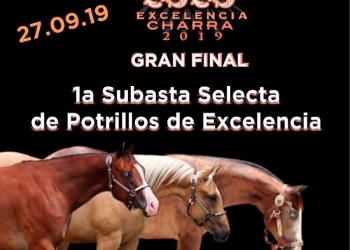 Catálogo de la Subasta Selecta de Potrillos de Excelencia
