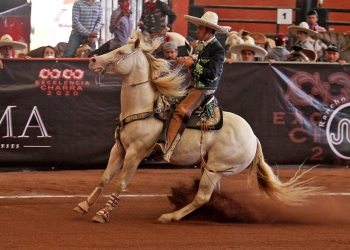 Refugio Raya clasificó tres ejemplares a la gran final del Futurity