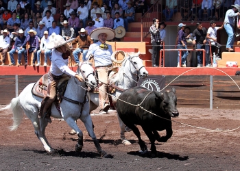 Antonio Silva, acompañado por Andrés Eduardo Aceves Hernández, remata su lazo cabecero durante la terna en el ruedo de Rancho Las Cuatas