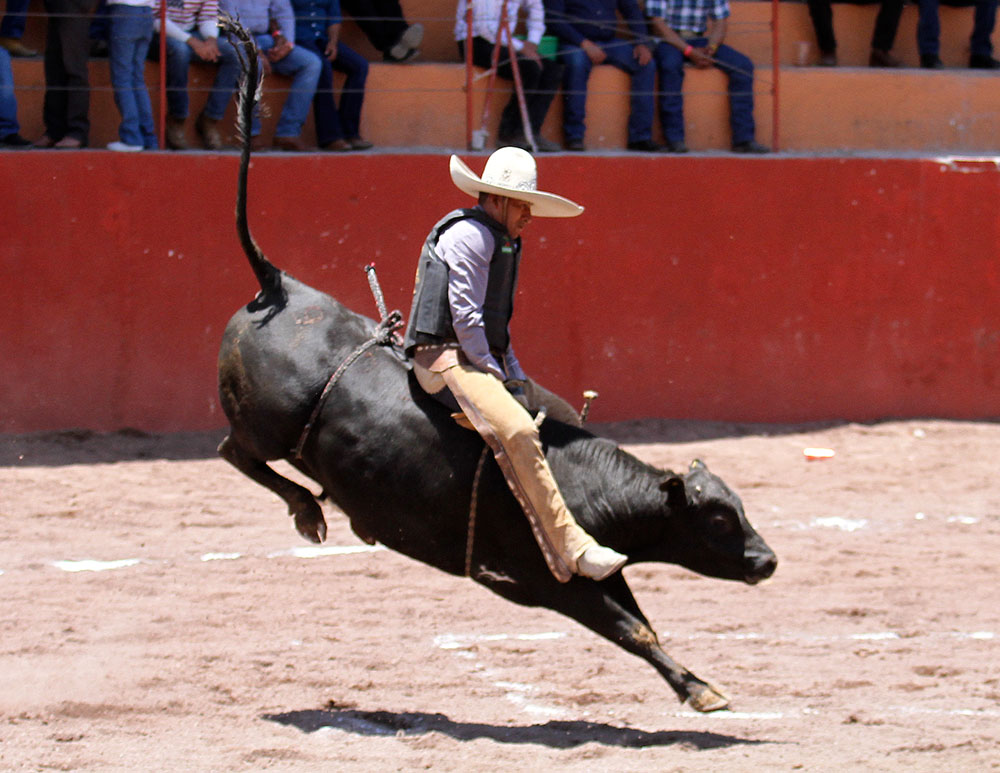 Bernardo Petla Herrera cosechó 25 unidades por esta buena monta de toro para los Tres Ranchos