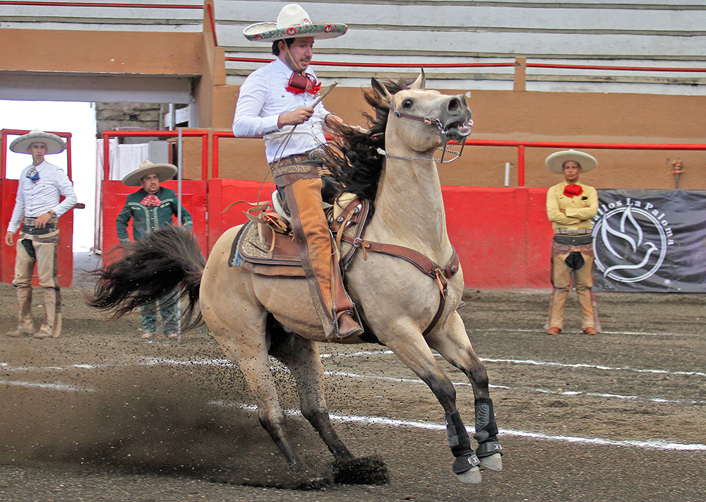 Alejandro Sánchez presentó la cala de caballo de 35 unidades para los Charros de Jalisco