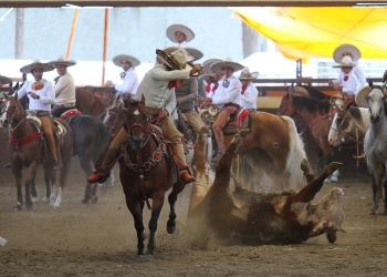 Luis Manuel Martín abanicando a su toro, a la cuenta de Charros de Jalisco