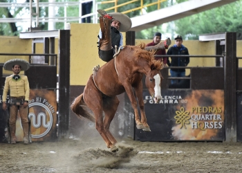 Muy buena la jineteada de yegua de Martín Sánchez para los Tamaulipecos
