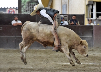 David Tavera de Rancho Las Amazonas se la jugó con esta emocionante jineteada de toro cara atrás