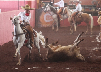 Alejandro Flores de Potrillos RG2 abanicando a este toro durante la suerte del coleadero