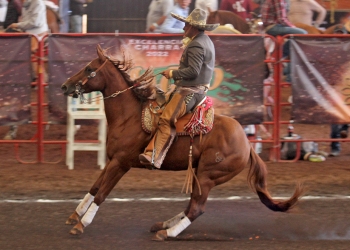 Resultados del VI Caladero Futurity de Excelencia Charra 2022