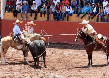 Juan Jesús Lugo acertando el pialazo en el ruedo de 33 unidades, completando con ello la terna de Hacienda Tamariz
