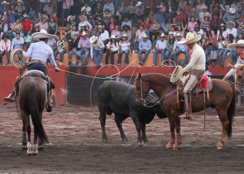 Programa de la primera fase eliminatoria en Huichapan