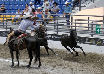 Salvador Sánchez rematando su tercera mangana a caballo para los Charros de Jalisco