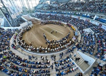 Programa de la segunda fase eliminatoria en Aguascalientes