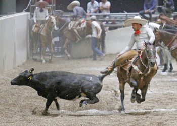 Resultados del Coleadero Abierto de Excelencia Charra 2023