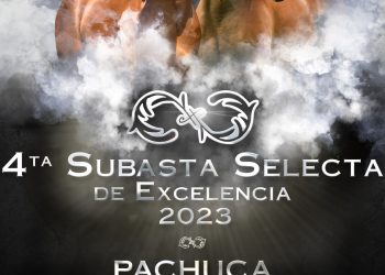 Inicio
