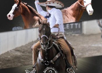 Convocatoria del Segundo Coleadero Anual de Criaderos 2023