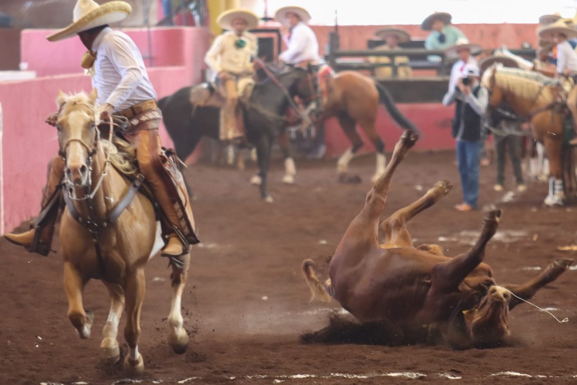 Hacienda Tamariz coleó con fuerza y acumuló cien puntos en esta faena