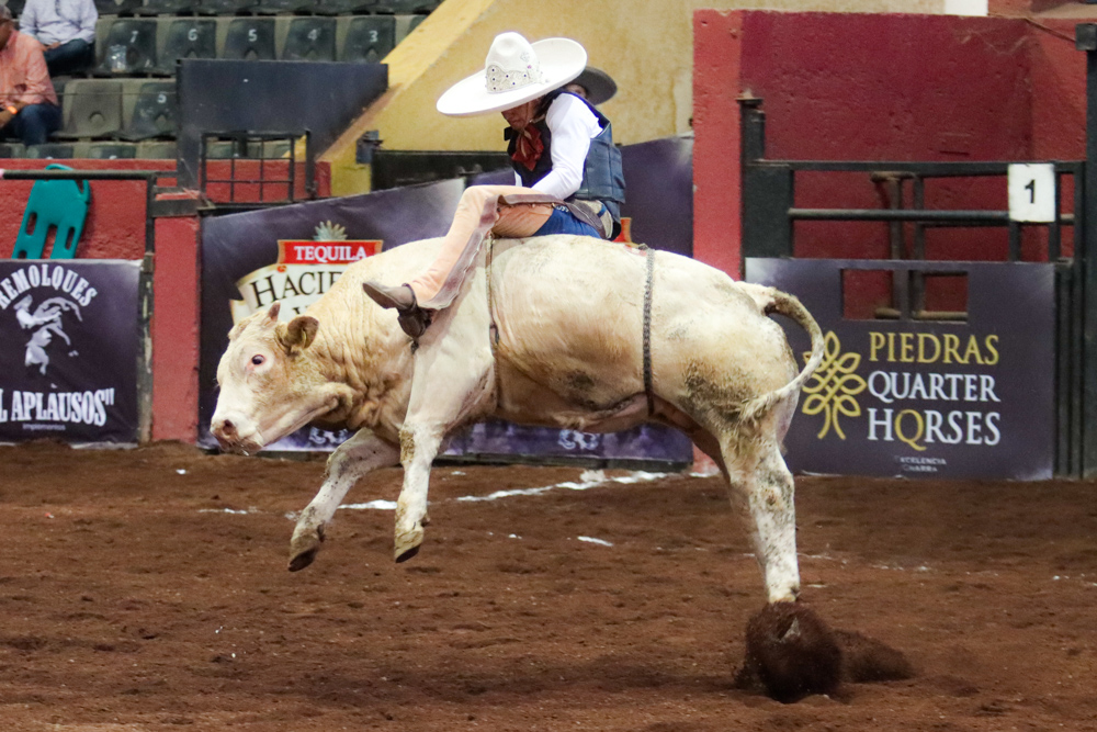 El joven Óscar Medina cumplió con buena jineteada de toro de 21 puntos para los guanajuatenses de Ignacio León Ornelas "Tequila División del Norte"