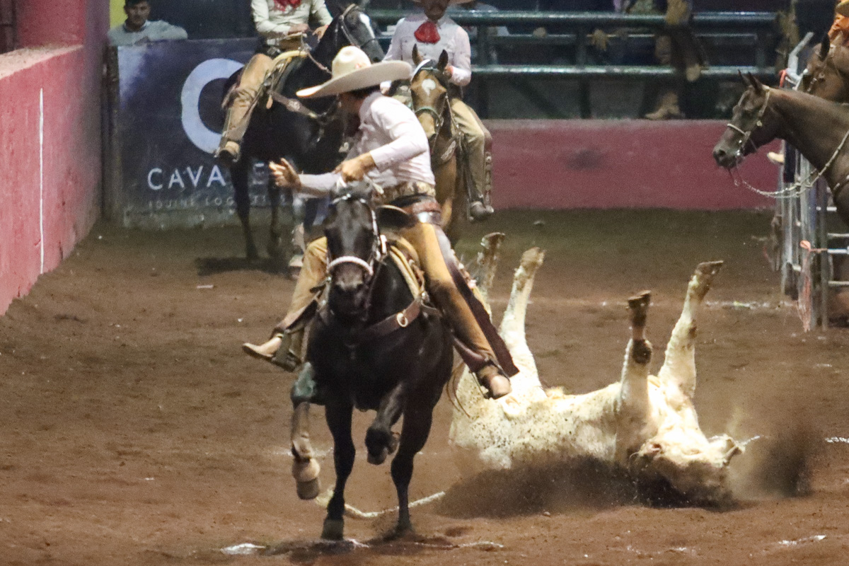 Guillermo Muciño abanicando a un toro, en una de las dos redondas derechas que consiguió montando al caballo «Licenciado»