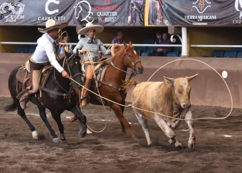 Líderes individuales por faena del Circuito Excelencia Charra 2024