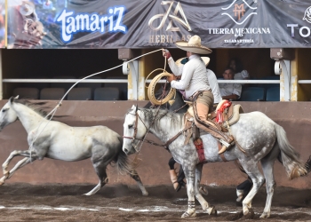 Tabla General de Promedios 2024