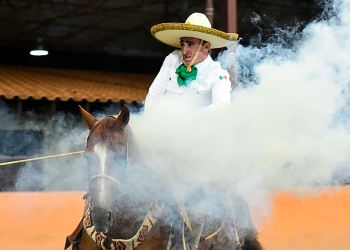 RG2 y Cuenca del Papaloapan encabezan las acciones en la Ciudad de México