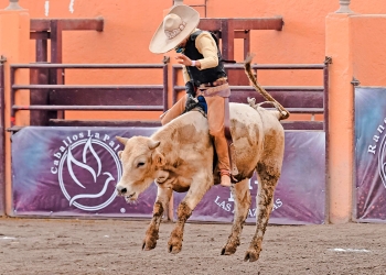 Resultados finales de la tercera fase eliminatoria en la Ciudad de México