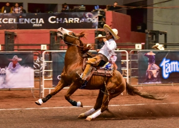 Buena punta rayó la cabalgadura que caló Jesús Anaya Barrón, de los Unidos de Hidalgo, con un arrastre de 20 metros en dos tiempos