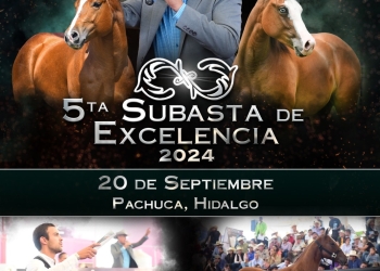 Catálogo de la Quinta Subasta de Excelencia 2024