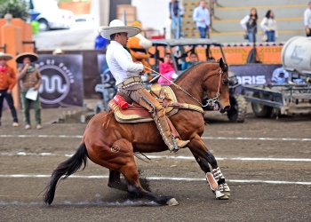 Programa de competencias de la segunda fase eliminatoria en la Ciudad de México