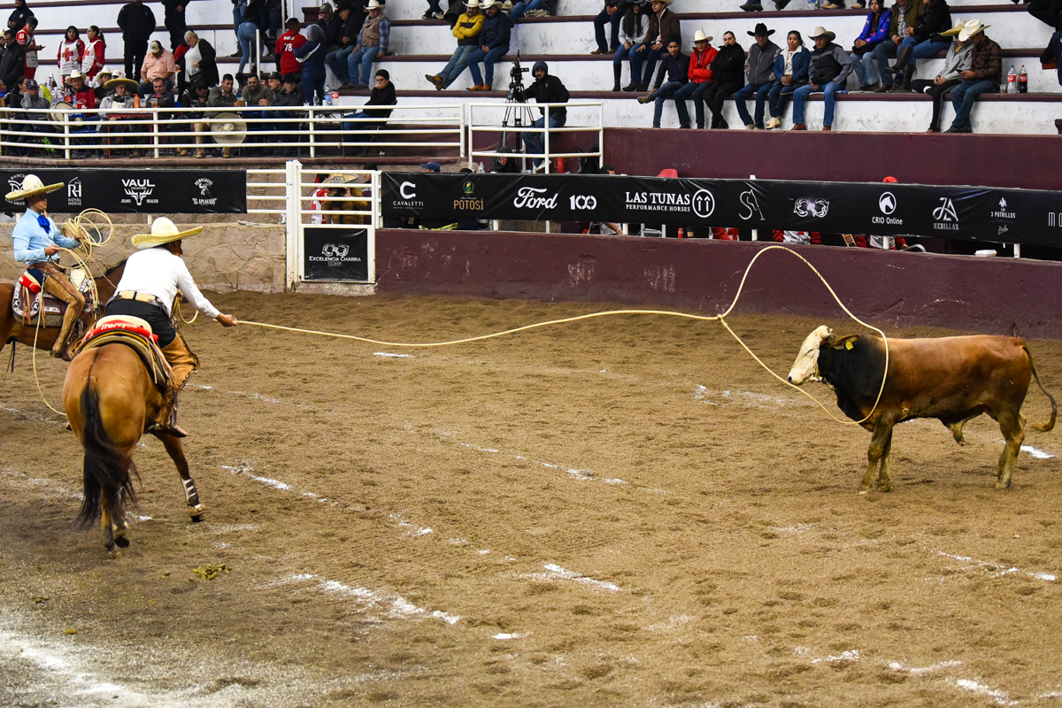 Larguísimo el lazo cabecero que acertó Ariel Cabañas, durante la terna en el ruedo de Trareysa