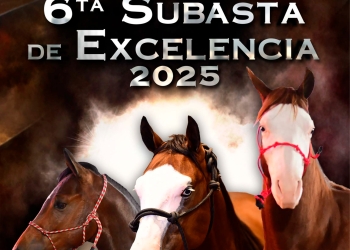 Catálogo de la sexta Subasta de Excelencia 2025