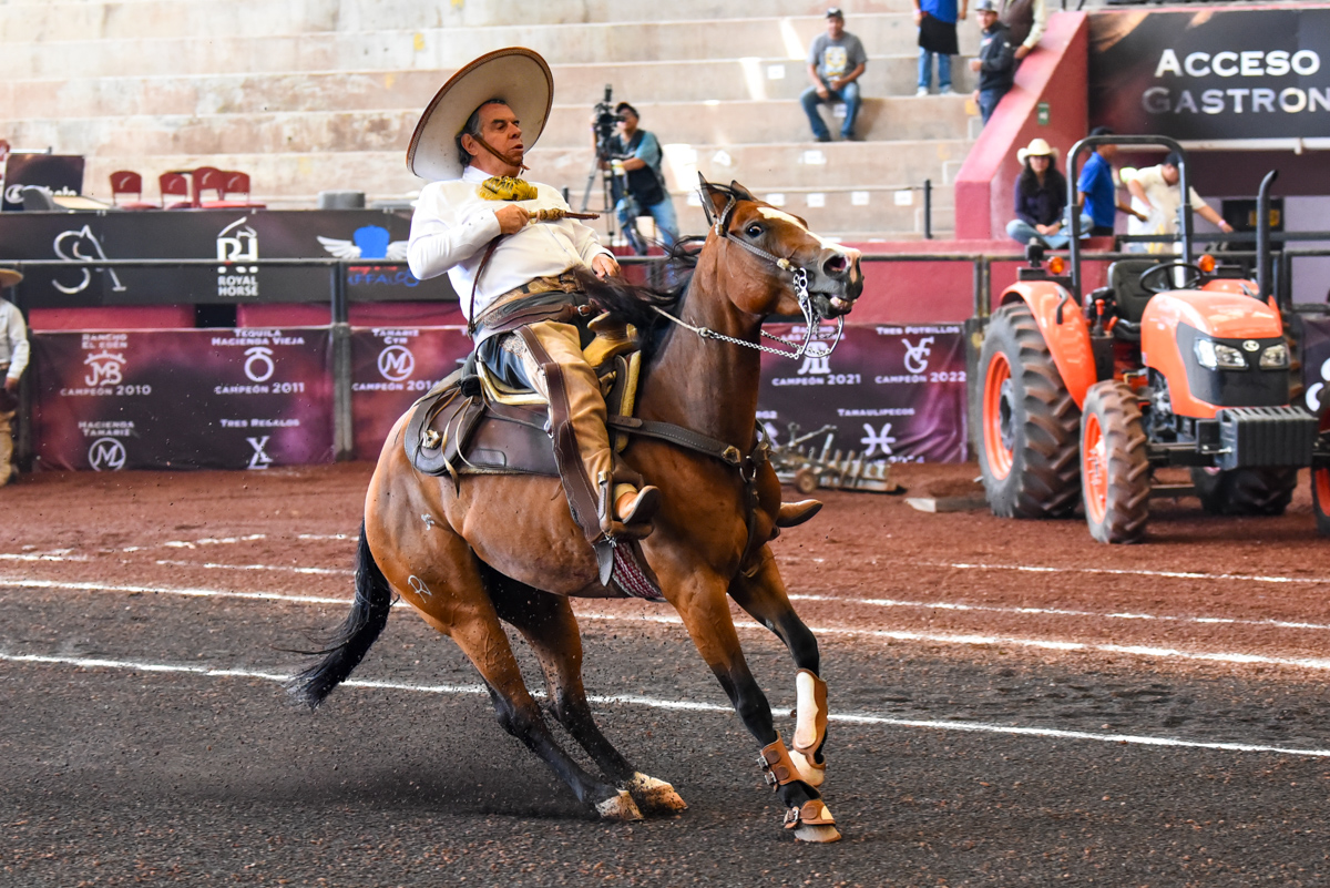 Carlos Maurer Espinoza ejecutando la cala de caballo de 39 unidades para la cuenta de Hacienda Tamariz de Puebla