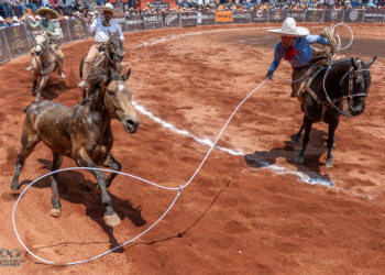 Aguerrida victoria de la Cuenca del Papaloapan en emocionante competencia