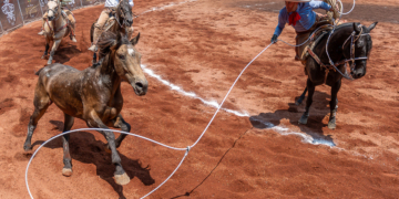 Aguerrida victoria de la Cuenca del Papaloapan en emocionante competencia