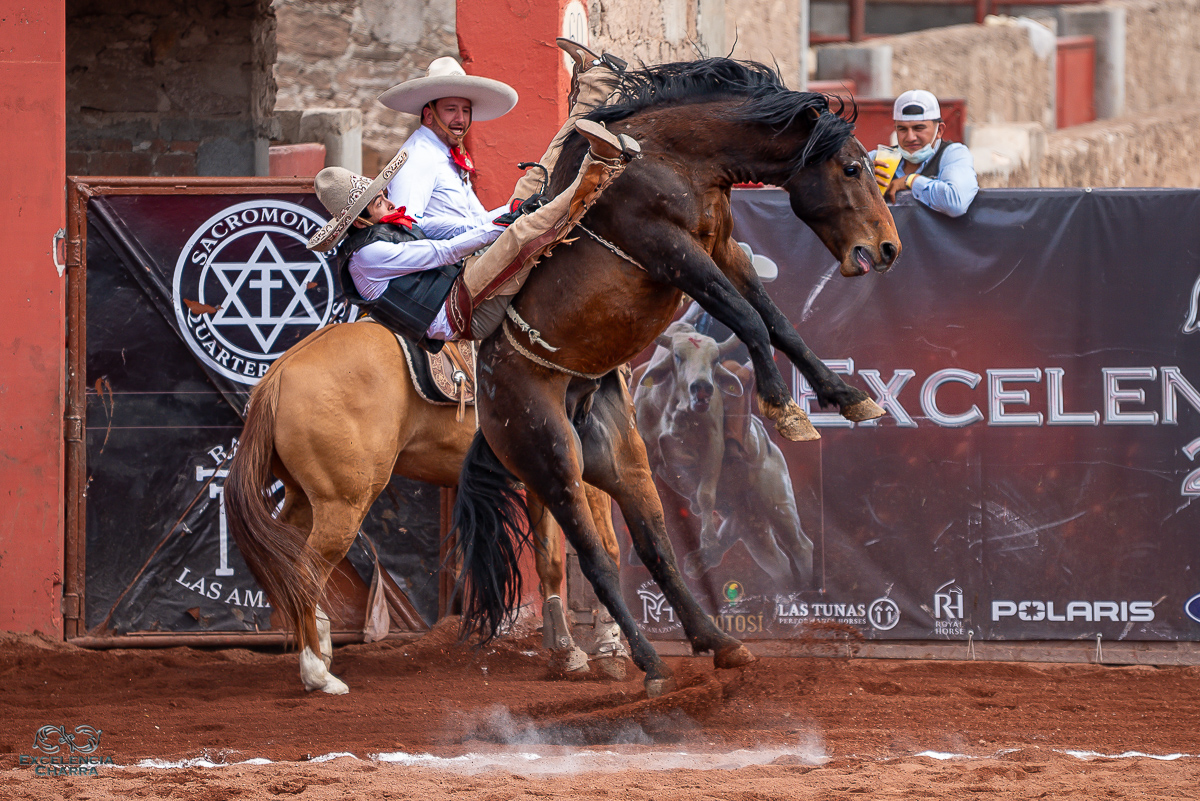 Omar Pérez peleó duramente ante la poderosa bruta que le tocó jinetear, por Hacienda La Estancia