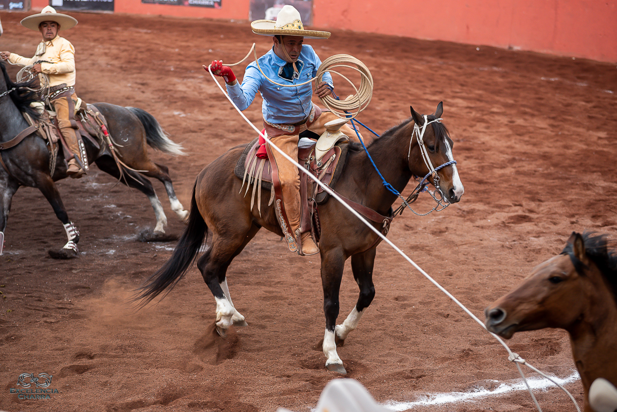 Jorge Franco en el instante de rematar la segunda mangana a caballo de cuenta para Rancho Santa Inés "San Carlos"