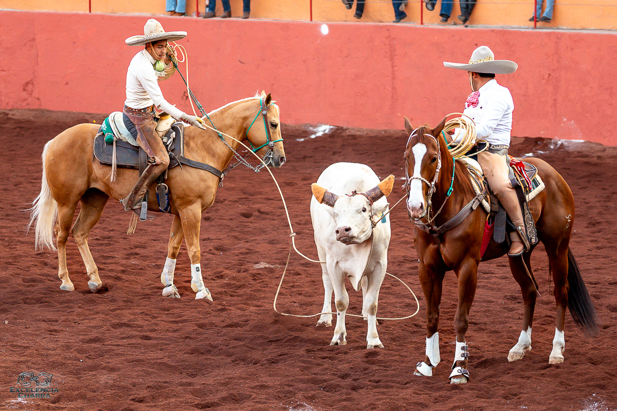 Fernando Calderón cuajando el pial de ruedo, completando la terna de Hierro Santo de Jalisco