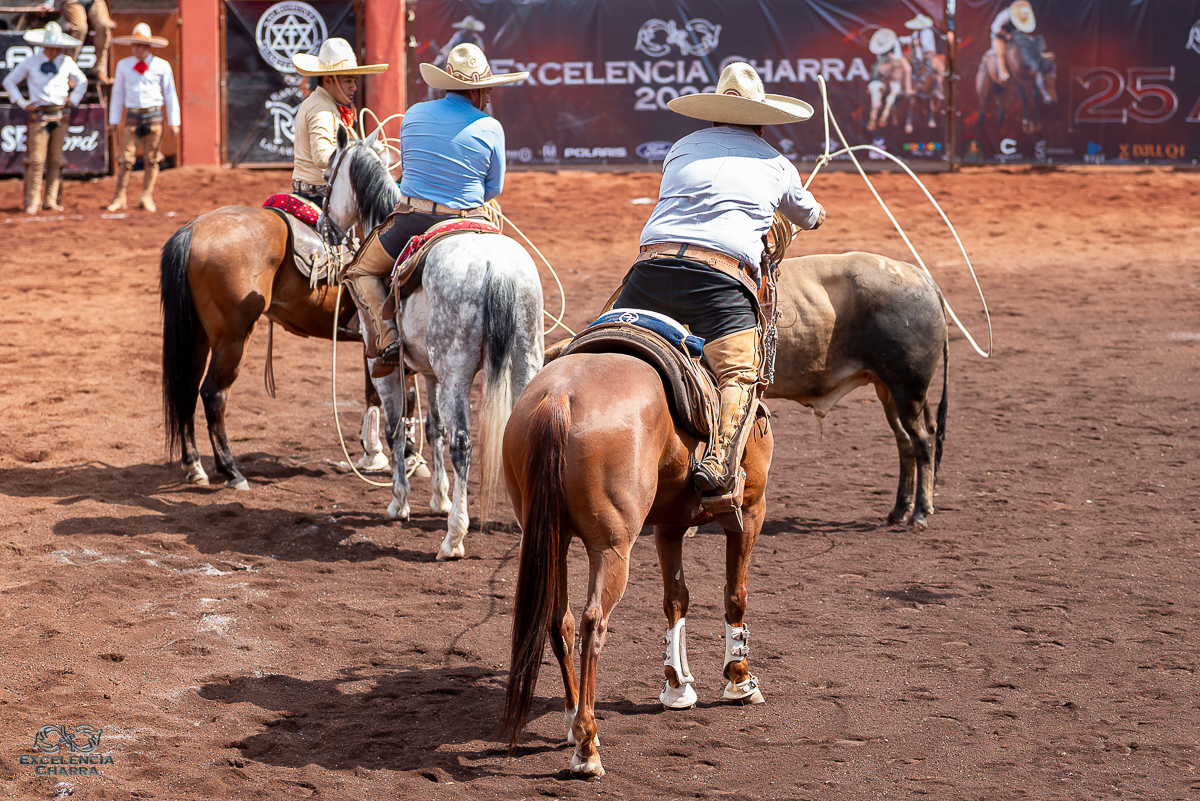 Diego Muñoz rematando el pial en el ruedo que le redituó 33 puntos, para la cuenta de Rancho El Pitayo